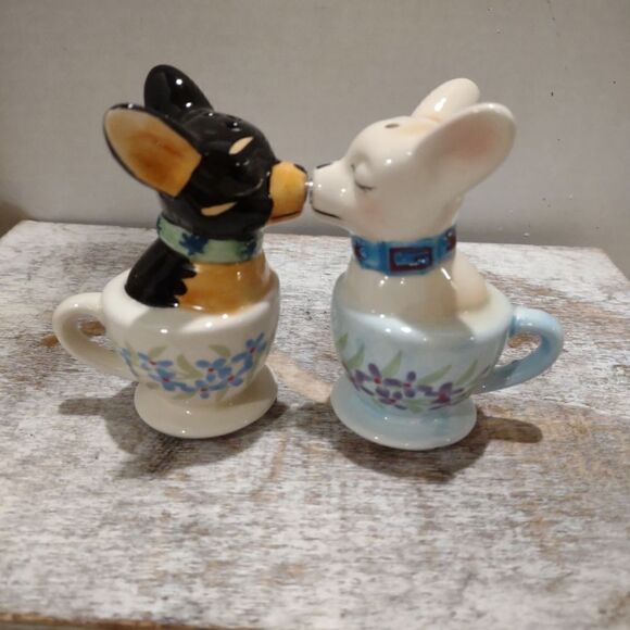 Teacup Chauawa Salt and Pepper magnetic Ceramic Shakers. C5 - Picture 2 of 8